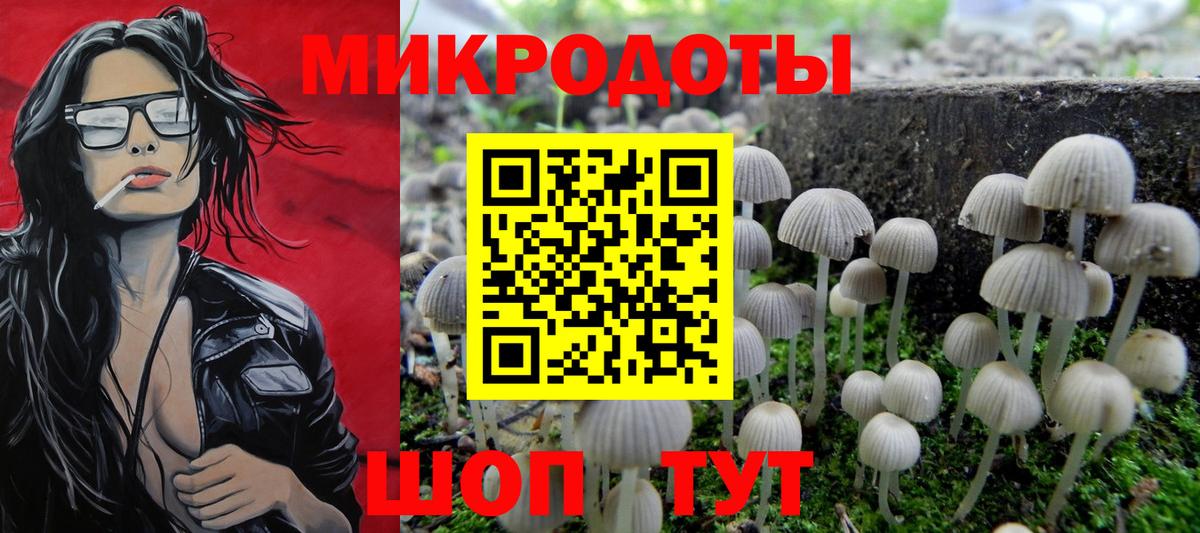 Псилоцибиновые грибы Cubensis Обь