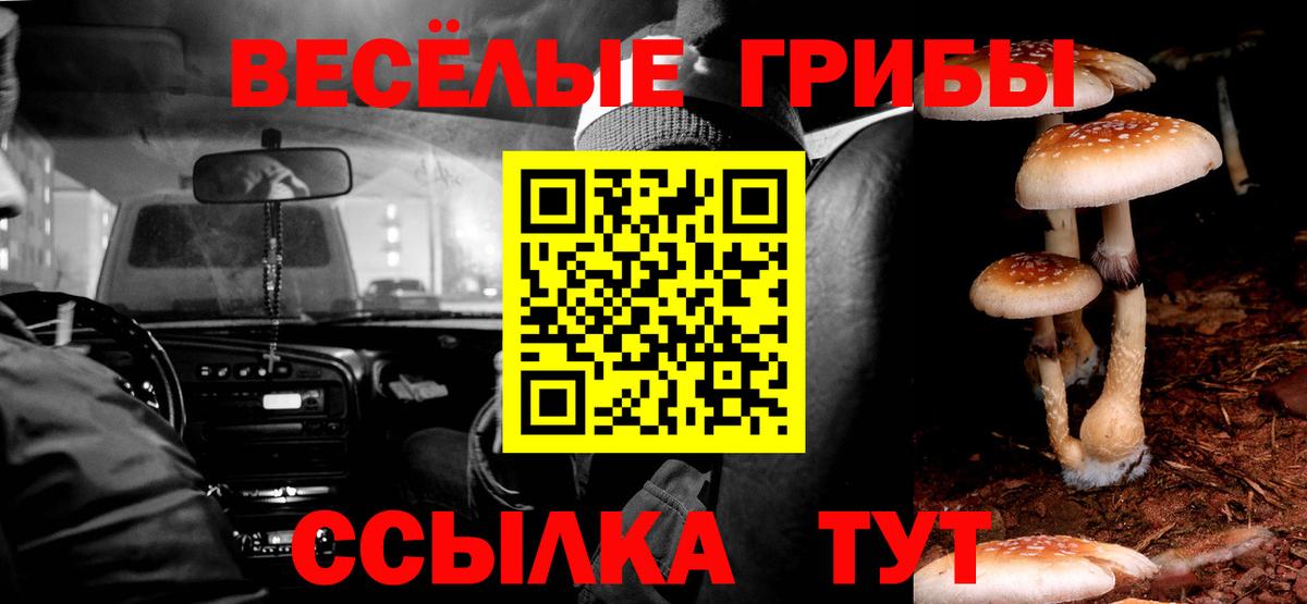 Обь  Галлюциногенные грибы GOLDEN TEACHER  Вход с VPN 